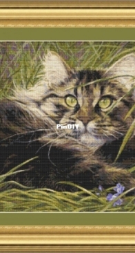 Kitty In The Grass by Anna Meschanova