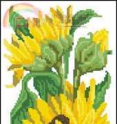 Zolotoe Runo ZR CK001 Sunflower