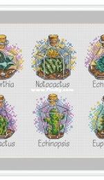 Green Terrace - Set of 6 Cactuses by Anna Petunova