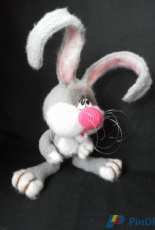 Bunny