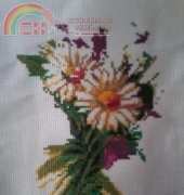 Gold Runo CS-030 Daisies and Bluebells (process)