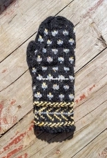 Spring Chicks Mitts - Donna Druchunas