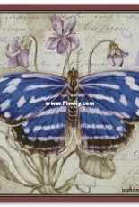 Chimera - Butterfly Vintage 8 by Jane Shasky