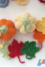 Pumpkin and maple leaves