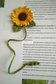 crochet project