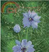 Heritage Stitchcraft - Flower Panels JCLM474 Love in a Mist by John Clayton XSD