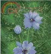 Heritage Stitchcraft - Flower Panels JCLM474 Love in a Mist by John Clayton XSD