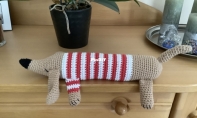 Dachshund