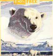 DMC K3651 - Polar Bears