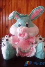 Wilma rabbit
