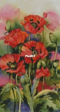 Chimera H375 Watercolor Poppies by Rachel McNaughton XSD