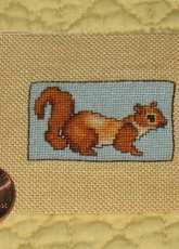 Squirrel