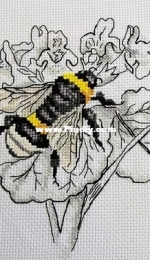 Bumblebee by Anna Ulchitskaya
