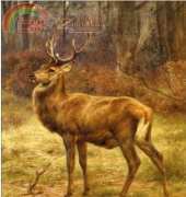 Golden Kite 2342 Stag in an Autumn Landscape