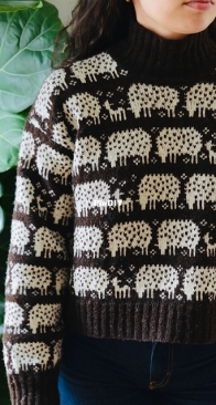 The Sheep Sweater by Rosa Pomar