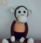 Monkey