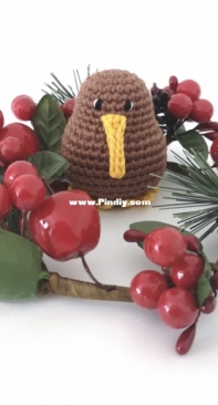 Stitch by Fay - Fay Lyth - Kai the Little Kiwi Crochet Pattern - Free