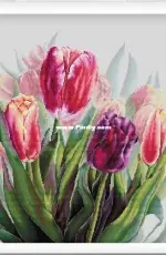 Watercolor Tulips by Anna Kuznetsova xsd