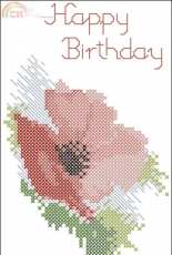 Derwentwater Designs CDG01 Greetings Cards - Poppy