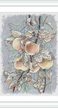 Apples by Anna Ulchitskaya