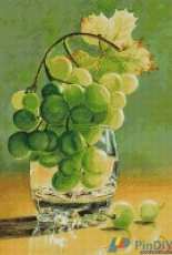 Gerdamoon B007,Grape-Gooseberry(big size)