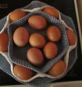egg basket