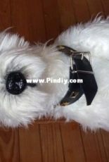 West Highland White  Terier  40cm