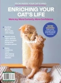 Inside Your Cat's Mind - Enriching Your Cat's Life 2026