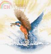 Heritage John Clayton FFKF482 Kingfisher in Flight