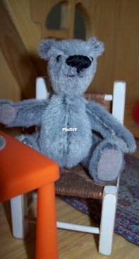 Bruno the little bear