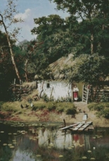 Chimera - Farm By The Pond