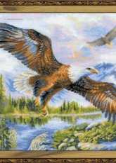 Riolis 1471 Free Fall