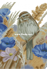 Cornflowers by Inna Peshkova