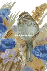 Cornflowers by Inna Peshkova