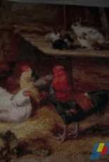 Gallinas y Conejos