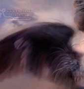 HAEBES 10125 As I Sing I Rise Today - Bente Schlick