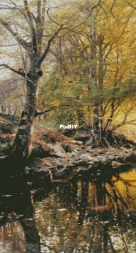 Chimera - Rocky Shore
