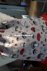 Mushroom backpack - My work