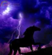 HAEJUF 1208 Into The Storm by Julie Fain