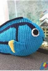 Paw Paws Studio - Blue Tang Fish