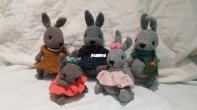 rabbit family