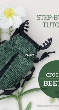 Red Cat Tales - Liubov Khoroshavina - Beetle