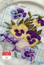 Riolis 266 Pansy