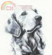 DMC BK135 - Golden Retriever