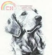 DMC BK135 - Golden Retriever