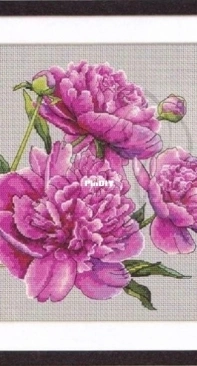 Coricamo - GC10272 - Beautiful Peonies XSD