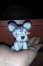 Siberiano small