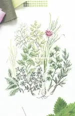 Herbes pas si mauvaises  from Mango Mon Jardin Potager XSD