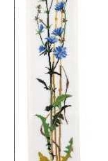 Eva Rosenstand - Chicorry - 99-2382 09-2382 Bellpull