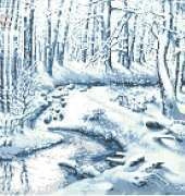 Zolotoe Runo LP-011 Snow Tale